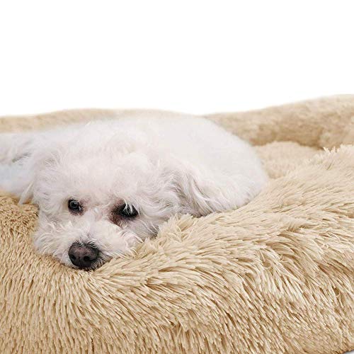 CENY Warmes, beruhigendes Hundebett, rundes Welpennest, Kuschelkissen aus Kunstfell, waschbar, für Katzen und Hunde, Größe S, 60 cm, Beige CENY Warmes, beruhigendes Hundebett, rundes Welpennest, Kuschelkissen aus Kunstfell, waschbar, für Katzen und Hunde, Größe S, 60 cm, Beige von CENY