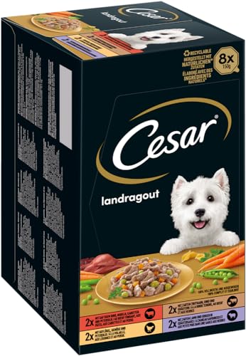 Cesar Schale Multipack Landragout 4 Varietäten 8X 150g, Nassfutter, Hundefutter (Landküche) von CESAR