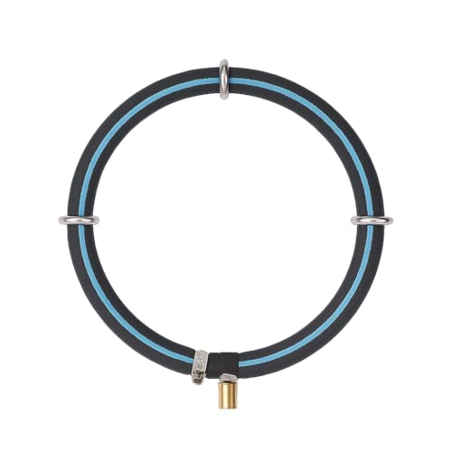 CESFRE Nano Ausströmer Ring mit 304 Edelstahl Einfach-Rahmen + 4m PVC Luftschlauch – Aquarium & Teich Luftausströmer für Fischzucht, Sauerstoffzufuhr mit Mikroblasen (Einfach-Ring Ø25cm) von CESFRE