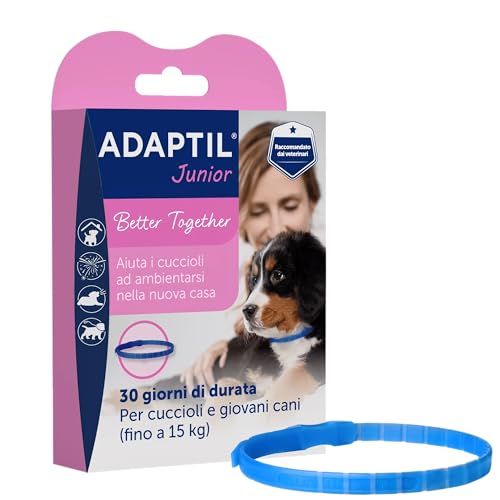 ADAPTIL® Calm Junior Halsband für Hunde – Hunde Welpen – beruhigende Pheromone Antistress für hyperaktive, ängstliche Hunde, Entspannung für Hunde, Reisen und stressige Momente von ADAPTIL