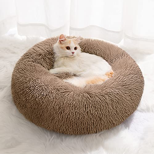 CEVICOLZE Kleines Katzenbett für Wohnungskatzen, selbstwärmendes Donut-Kittybett für kleine Katzen, hält warm, waschbares Haustierbett mit rutschfester Unterseite, LightCoffee 50,8 cm von CEVICOLZE