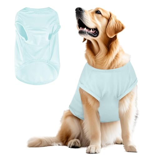 CEWIFO Hunde Sommer-Kühl-Schutz-T-Shirt – atmungsaktives T-Shirt für kleine & mittelgroße Hunde (z.B. Chihuahua, Yorkie), auch für Katzen (Mint Green, M) von CEWIFO