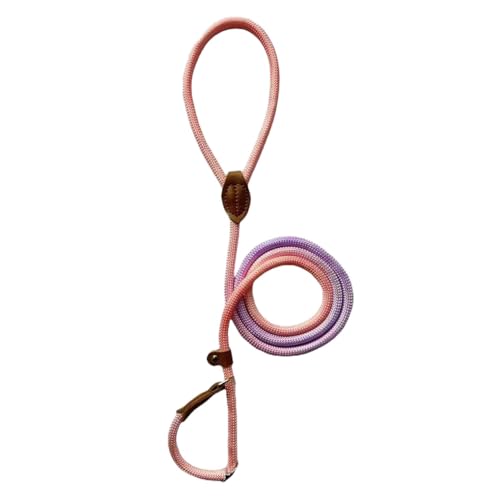 Verstellbare Nylon-Hundeleine – Ideal für Outdoor-Aktivitäten wie Wandern und Camping (Orange, 0.6x150cm) von CEWIFO