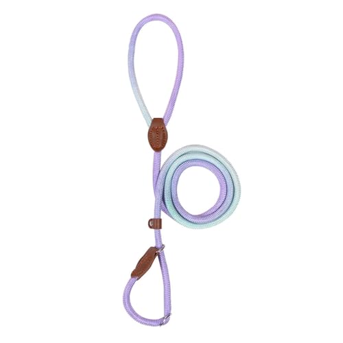 Verstellbare Nylon-Hundeleine – Ideal für Outdoor-Aktivitäten wie Wandern und Camping (Violett, 0.6x150cm) von CEWIFO