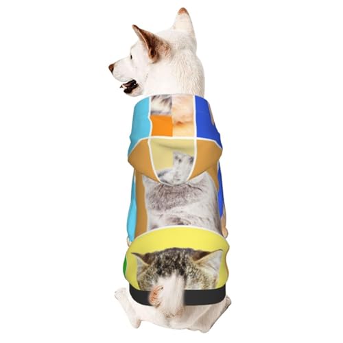 Bunte Katzen-Porträts auf hellem Hintergrund, Hunde-Wintermantel mit Kapuze, Hundekleidung für kleine Hunde, Haustier-Kapuzenpullover, Katzenbekleidung von CFAN