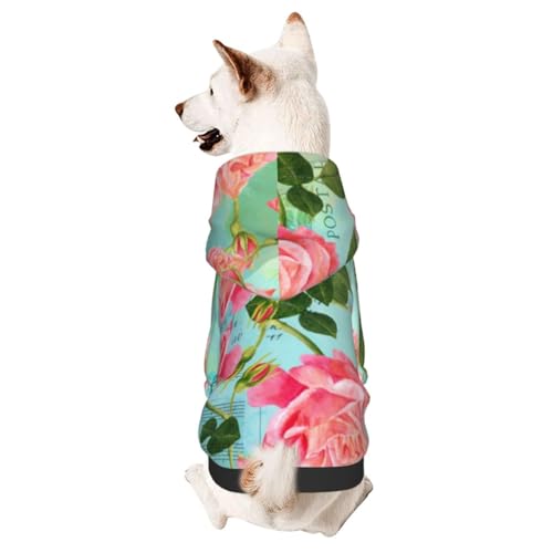 Hunde-Kapuzenpullover, rote Rose mit Knospen und Blättern, blaugrüne Schmetterlinge, Vintage-Musik-Hintergrund, für Welpen, Kätzchen, kleine, mittelgroße Hunde, Katzen von CFAN