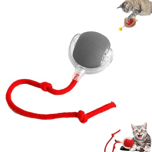 Interaktives Katzenspielzeug, intelligentes Katzenspielzeug, wiederaufladbar über USB, automatisches elektrisches Spielzeug für Katzen, Katzenspielzeug mit beweglichem Ball, für den Innenbereich, für Interaktives Katzenspielzeug, intelligentes Katzenspielzeug, wiederaufladbar über USB, automatisches elektrisches Spielzeug für Katzen, Katzenspielzeug mit beweglichem Ball, für den Innenbereich, für von CFITANK