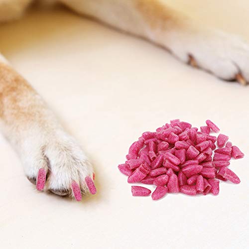 100 Pcs Haustierhund Weiche PVC Nagelabdeckung Pfoten Klaue W Pflegen Accessoire Hundnagelabdeckung Hund Nagel Hunde Klaue Haustier Nagel Pflegeabdeckung Hunde Pfotenabdeckung Hunde Zubehör (XL) von CFTGIW