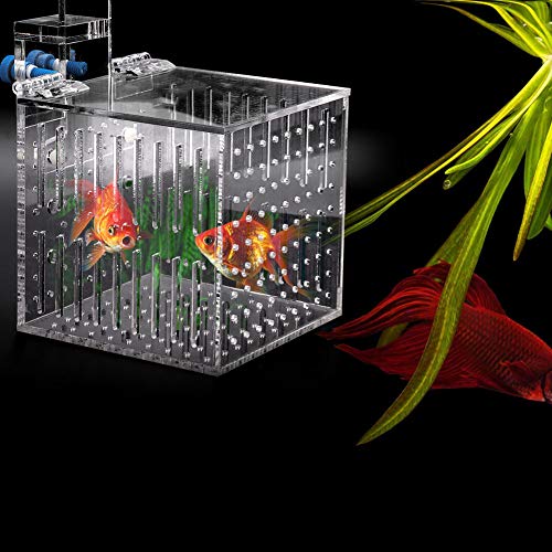 Aquarium Fischtank Multifunktionales Acryl Hohe Klare Fisch -Isolierungsbox 1. aus Transpare Fischisolation Box Aquarium Isolation Box Fischtank Isolation Box Acrylfisch Aquarium Fischtank Multifunktionales Acryl Hohe Klare Fisch -Isolierungsbox 1. aus Transpare Fischisolation Box Aquarium Isolation Box Fischtank Isolation Box Acrylfisch von CFTGIW