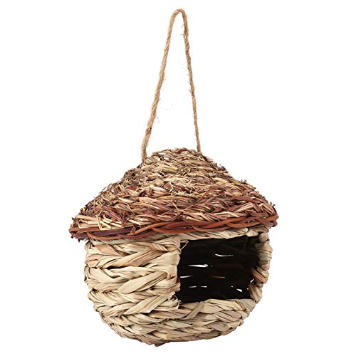 Bird Housebirdhousebird N St Birdhouse für Hamster SM Haustiere Anim Hängende Dekor S Es Ist eine von Tieren harmlos. Nicht und Nicht Bietet ENSU in (#2) von CFTGIW