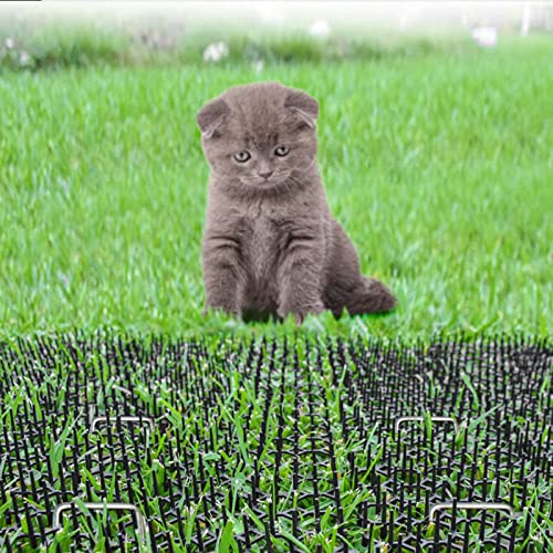 CFTGIW 10pcs Matten + 10pcs U Form Nägel Garten Streifen Stop Stop Katzenhund Abschreckungsmatten Spike Garten Vorräte Mat10pcs Matten + U Form Nailsgarden Striple Stripcat Hund CFTGIW 10pcs Matten + 10pcs U Form Nägel Garten Streifen Stop Stop Katzenhund Abschreckungsmatten Spike Garten Vorräte Mat10pcs Matten + U Form Nailsgarden Striple Stripcat Hund von CFTGIW