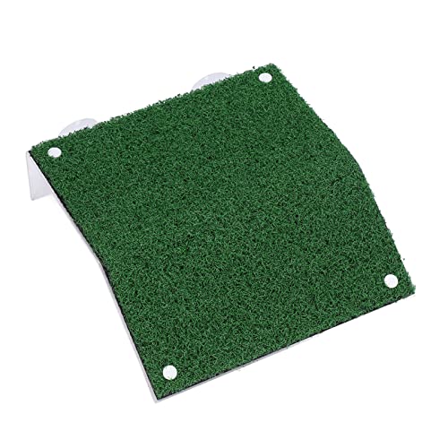 CFTGIW Fischschild Terrasse Acrylsimulation G G Haut Amphibienleiter Krabbeln Plattform Fisch Terracetorto Terrasse Klimon Terracrartific is Design (#3) von CFTGIW