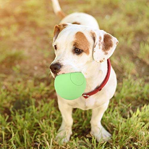 CFTGIW Gummi -Haustenthund -Elastizier B Spielzeug für Molarenzähne Training Interactive Yellow Gummi Hausthund B Toypet Dog Toydog T Lonely. 3 Werden Sie Fit Ru (Green) von CFTGIW