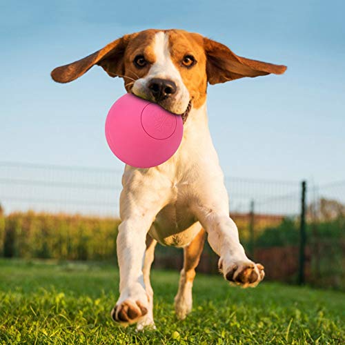 CFTGIW Gummi -Haustenthund -Elastizier B Spielzeug für Molarenzähne Training Interactive Yellow Gummi Hausthund B Toypet Dog Toydog T Lonely. 3 Werden Sie Fit Ru (Rot) von CFTGIW