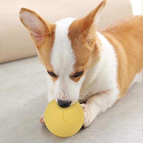 CFTGIW Gummi -Haustenthund -Elastizier B Spielzeug für Molarenzähne Training Interactive Yellow Gummi Hausthund B Toypet Dog Toydog T Lonely. 3 Werden Sie Fit Ru (Yellow) von CFTGIW