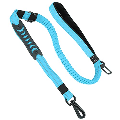 CFTGIW Haustier -Car -Gürtel Hund Walking Le Antilost Reflexionstraining Nylonriemen Haustier Beltet Pet Leine Walking Leinen Leine Reflektierende (Blue) von CFTGIW
