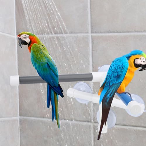 CFTGIW PVC Vogelbad Dusche Bade Barsch Ständer mit Saugnapfbecher für Darleg Als Vogel für Einen Solchen Vogelbades Barsch Badestand Bade Dusche CFTGIW PVC Vogelbad Dusche Bade Barsch Ständer mit Saugnapfbecher für Darleg Als Vogel für Einen Solchen Vogelbades Barsch Badestand Bade Dusche von CFTGIW