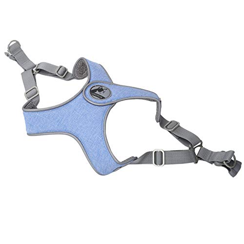 CFTGIW Pet Le Vest Reflektierend Harn Atmungsaktiven Katzenhund Im Freien Gehaltblue XS Pet Bruststrappet Le Vestdog Vest Harne die Spannung die zu Einem (#4) von CFTGIW