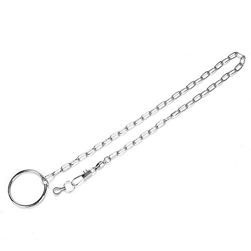 CFTGIW Stainl Steel Pet Birds Fußkette Fußkettentraining Harn für Geeignete Verschiedene Vögel Fußkettenvögel Ankletbirds Birds Training Kabelbaumstapfen Stahlvögel Fuß (Alexander) von CFTGIW