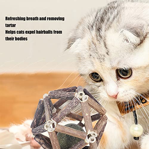 Catnip Wooden B Silvervin S Zähne Mahlen Verstärken Appetitkatze Kauen Catnip B für Katzenkätzchen und die Katze I Holzballsilvervins Ballcat Chew Machen Catnip Wooden B Silvervin S Zähne Mahlen Verstärken Appetitkatze Kauen Catnip B für Katzenkätzchen und die Katze I Holzballsilvervins Ballcat Chew Machen von CFTGIW