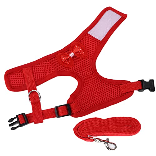 Chic Harn und Le Komfortable Atmungsaktive Haustierweste für Hen Roste Red Chic Hartnesshen Pet Vest Chic Hartnessbreathable Hen Pet Vestchic Harn mit Lashpet Chic Lieferungen Ihre (Rot) von CFTGIW