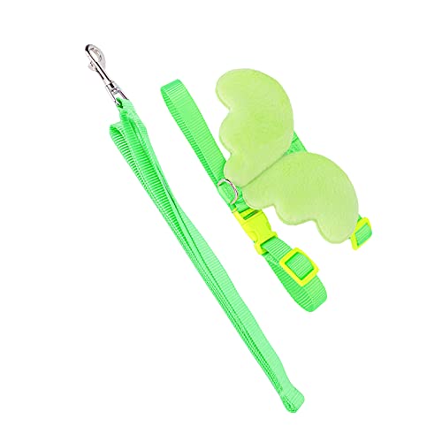 Ente Harn Le Outdoor Walking Le Harn für Haustier Ducks und Hühnerblau XS Duck Harn Leine Duck Harn Leinen -Leinen -Traktion Seil Chic Harenchic Training Hartnessduck Vorräte von Dir (#2) von CFTGIW