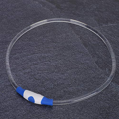 Haustierhund Wiederaufladbares LED Luminous Lighting Halshch (M) von CFTGIW