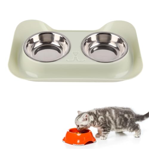 Haustierhundschalen Färbung Stahl Niedlich S Proof Inner Innere Double DOUN DOGEL SCHWEISE FÜR Cats Green DET Horn HOWS STAINL Stahl Dog BOWLLDOBLE Hunde DOWN COWKELSDOG FODELSDOG BEIGHT mit der Haustierhundschalen Färbung Stahl Niedlich S Proof Inner Innere Double DOUN DOGEL SCHWEISE FÜR Cats Green DET Horn HOWS STAINL Stahl Dog BOWLLDOBLE Hunde DOWN COWKELSDOG FODELSDOG BEIGHT mit der von CFTGIW