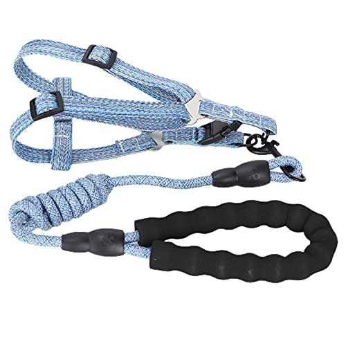 Hund Harn mit Le Set Pet EscapeProof Harn St (M (geeignet für 8–15 Katzen)) von CFTGIW
