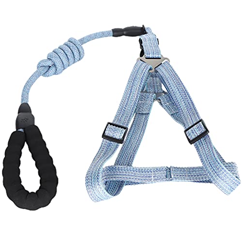 Hund Harn mit Le Set Pet EscapeProof Harn St (XL (geeignet für 45–60 Katzen)) von CFTGIW