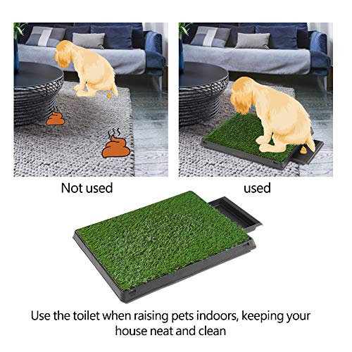 Hundepapler Katze Haustier Töpfchen Matte G Pad mit T House Innenstuil Toiletten -Pee -Training Tool Einfach nutzen. GREA PETTYTY MAT Totty MAT Pee Training Hund Töpfchen Hundepapler Katze Haustier Töpfchen Matte G Pad mit T House Innenstuil Toiletten -Pee -Training Tool Einfach nutzen. GREA PETTYTY MAT Totty MAT Pee Training Hund Töpfchen von CFTGIW