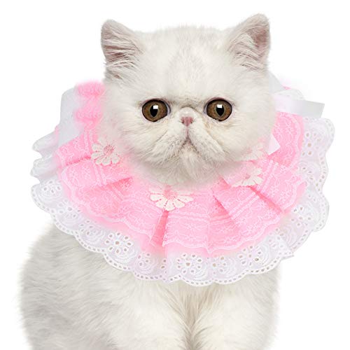 Niedliche Spitze Bowknot Haustier Speichel Handtücher Neckerchief Kragen Sabber Lätzchen mit Glockendekoration für Hunde Katze Pinkxs Haustier Speichel Handtäle Petpett Neckerchiefresspet Damol (M) Niedliche Spitze Bowknot Haustier Speichel Handtücher Neckerchief Kragen Sabber Lätzchen mit Glockendekoration für Hunde Katze Pinkxs Haustier Speichel Handtäle Petpett Neckerchiefresspet Damol (M) von CFTGIW