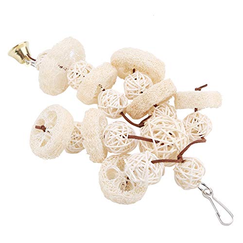 Papageienspielzeug Bird -Spielzeug Hängen Stehplattenspielzeug Papagei Schwung Geeignet für Papageien und Vögel IRD Papageienspielzeug Bird -Spielzeug Hängen Stehplattenspielzeug Papagei Schwung Geeignet für Papageien und Vögel IRD von CFTGIW
