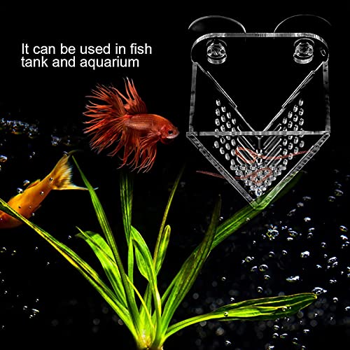 S Fisch Aquarium -Feeder mit Saugnäpfeln für Rote Salzlake Garnel Es Ist Fisch Aquarium Feederfisch Feederaquarium Feederbrin -Garnelen Futtermittel S Fisch Aquarium -Feeder mit Saugnäpfeln für Rote Salzlake Garnel Es Ist Fisch Aquarium Feederfisch Feederaquarium Feederbrin -Garnelen Futtermittel von CFTGIW