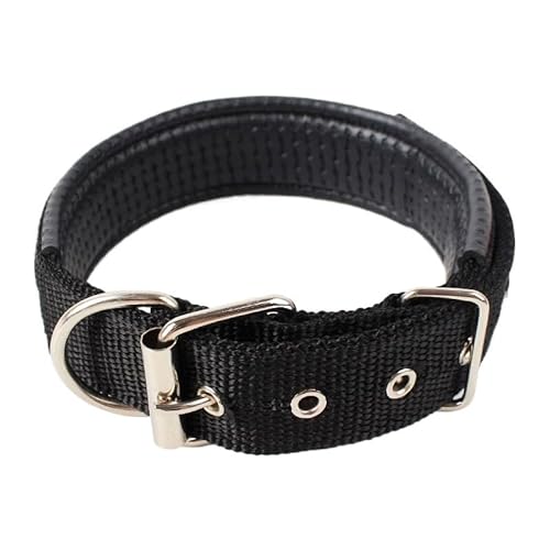 1 x farbiges, solides Hundehalsband aus Nylon, taktisches Hundehalsband for kleine, mittelgroße und große Hunde, Teddy, Keji, Pitbull, Bulldogge, Beagle(BS-04,L 2.5x55cm) von CFZSALK
