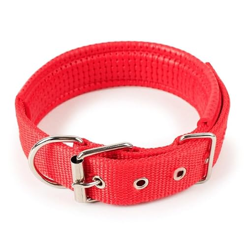 1 x farbiges, solides Hundehalsband aus Nylon, taktisches Hundehalsband for kleine, mittelgroße und große Hunde, Teddy, Keji, Pitbull, Bulldogge, Beagle(BS-0C1,XXL 4x70cm) von CFZSALK