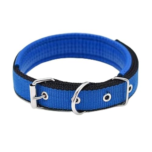1 x farbiges, solides Hundehalsband aus Nylon, taktisches Hundehalsband for kleine, mittelgroße und große Hunde, Teddy, Keji, Pitbull, Bulldogge, Beagle(CS-01,L 2.5x55cm) von CFZSALK