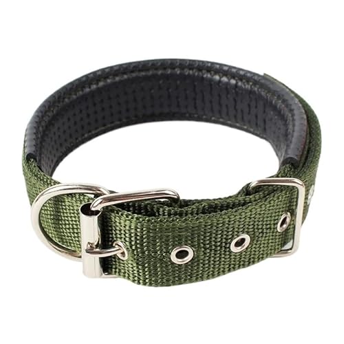 1 x farbiges, solides Hundehalsband aus Nylon, taktisches Hundehalsband for kleine, mittelgroße und große Hunde, Teddy, Keji, Pitbull, Bulldogge, Beagle breites hundehalsband(BS-002,S 1.5X40cm) von CFZSALK