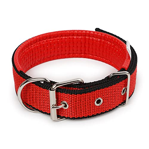 1 x farbiges, solides Hundehalsband aus Nylon, taktisches Hundehalsband for kleine, mittelgroße und große Hunde, Teddy, Keji, Pitbull, Bulldogge, Beagle breites hundehalsband(BS-0C2,XL 3x60cm) von CFZSALK