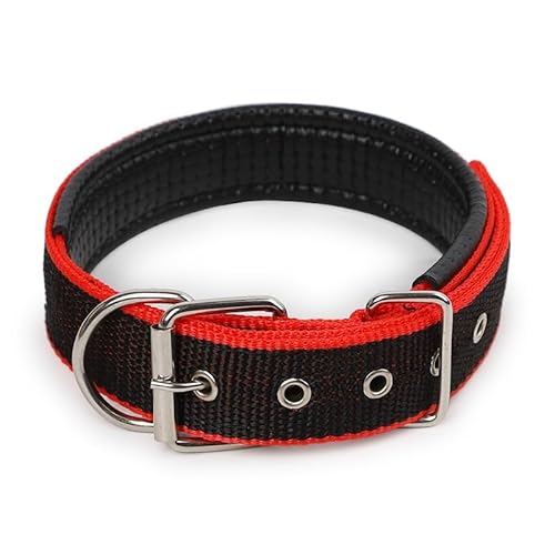 1 x farbiges, solides Hundehalsband aus Nylon, taktisches Hundehalsband for kleine, mittelgroße und große Hunde, Teddy, Keji, Pitbull, Bulldogge, Beagle breites hundehalsband(BS-0C3,L 2.5x55cm) von CFZSALK