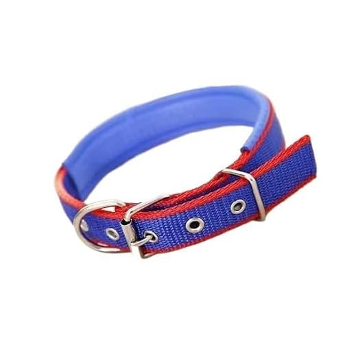 1 x farbiges, solides Hundehalsband aus Nylon, taktisches Hundehalsband for kleine, mittelgroße und große Hunde, Teddy, Keji, Pitbull, Bulldogge, Beagle breites hundehalsband(CS-002,S 1.5X40cm) von CFZSALK