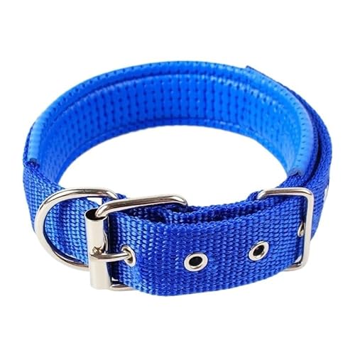 1 x farbiges, solides Hundehalsband aus Nylon, taktisches Hundehalsband for kleine, mittelgroße und große Hunde, Teddy, Keji, Pitbull, Bulldogge, Beagle breites hundehalsband(CS-003,M 2x50cm) von CFZSALK