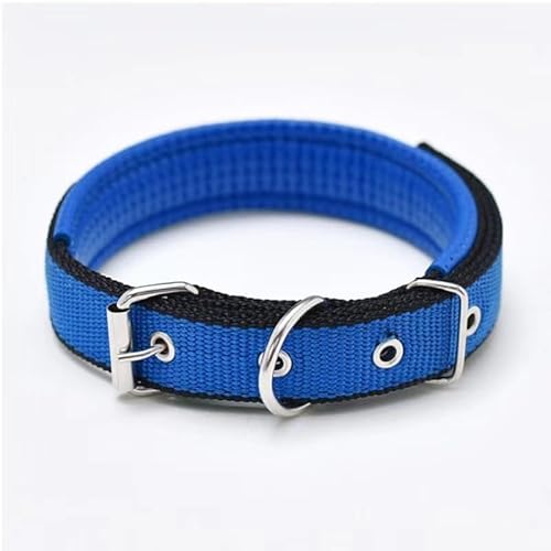1 x farbiges, solides Hundehalsband aus Nylon, taktisches Hundehalsband for kleine, mittelgroße und große Hunde, Teddy, Keji, Pitbull, Bulldogge, Beagle breites hundehalsband(CS-01,XL 3x60cm) von CFZSALK