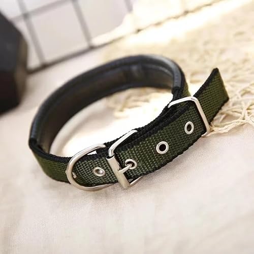 CFZSALK 1 x farbiges, solides Hundehalsband aus Nylon, taktisches Hundehalsband for kleine, mittelgroße und große Hunde, Teddy, Keji, Pitbull, Bulldogge, Beagle(BS-03,S 1.5X40cm) von CFZSALK