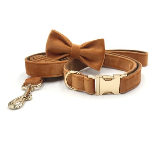 CFZSALK Personalisiertes Hundehalsband, Haustierhalskette, verstellbar, individuelle ID-Tag-Gravur, superweiches Hundezubehör mit Namen(Co Collar Bow Leash,2) von CFZSALK