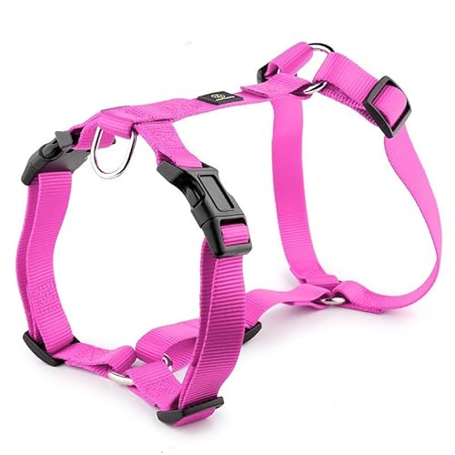 H-förmiges Hundegeschirr, explosionsgeschützter, weicher Brustgurt, strapazierfähiges Nylon-Haustierleinenzubehör for mittelgroße und große Hunde breites hundehalsband(8,XS) von CFZSALK
