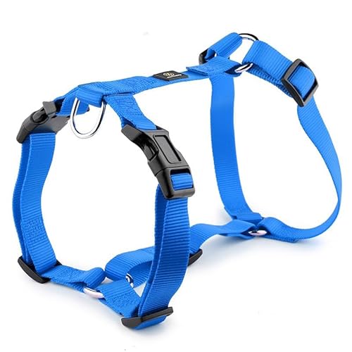 H-förmiges Hundegeschirr, explosionsgeschützter, weicher Brustgurt, strapazierfähiges Nylon-Haustierleinenzubehör for mittelgroße und große Hunde breites hundehalsband(Royal Blue,3) von CFZSALK