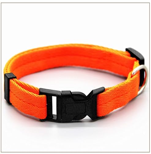 Hundehalsband aus Nylon, verstellbare Clip-Schnalle, Hundehalsbänder, Kopfhalsbänder, Größe S/M/L/XL, Zubehör for Welpen und große Hunde breites hundehalsband(3,3) von CFZSALK