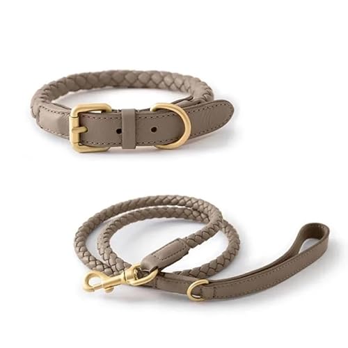 Hundehalsband aus gewebtem PU-Leder mit Handhalterung, robust und langlebig, geeignet for kleine und mittelgroße Hunde(Gray Suit,M-Neck 31-36cm) von CFZSALK