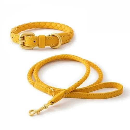 Hundehalsband aus gewebtem PU-Leder mit Handhalterung, robust und langlebig, geeignet for kleine und mittelgroße Hunde(Yellow Suit,M-Neck 31-36cm) von CFZSALK